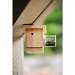 Hanging Carpenter Bee Trap