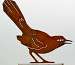 Mockingbird Bird Silhouette