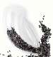 Seed Scoop Blue