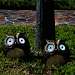 Solar Owl Accent Set of 2