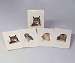 Peterson's Owls Notecard Assortment 2 each of 4 styles