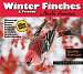 Winter Finches & Friends
