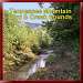 Tennessee Mountain Bird & Creek Sounds CD