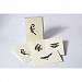 Peterson Bird Notecard Assortment III 2 each of 4 styles