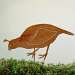CA Quail Female Stake Bird Silhouette