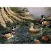 Wood Ducks Puzzle
