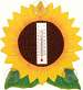 Sunflower Small Window Thermometer