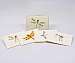Dragonfly & Damselfly Notecard Assortment II 4 each of 2 styles