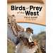 Birds of Prey of the West