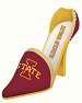 Iowa State Decorative Team Show Wine Bottle Holder