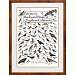 Peterson's Backyard Birds of Northern California Poster