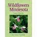 Wildflowers Minnesota FG