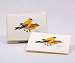 American Goldfinch Notecard Assortment 8 each of 1 style