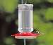Scarlet Hummingbird Feeder