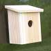 Nest View Window House