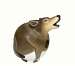 Wolf Gord-O Birdhouse