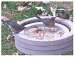 Bird Bath Raft