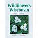 Wildflowers Wisconsin FG