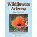 Wildflowers Arizona FG