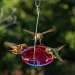 Ruby Sipper Hummingbird Feeder Lavendar