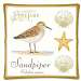 Sandpiper Spiced Hot Pad