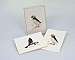 Puffin Notecard Assortment 4 each of 2 styles