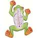 Climbing Tree Frog Small Window Thermometer