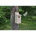 Economy Bluebird House