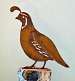 CA Quail Male Bird Silhouette