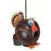 Wild Turkey Gord-O Birdhouse