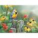 Meadowlark Morning 1000 piece Puzzle
