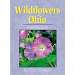 Wildflowers Ohio FG