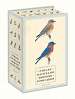 Sibley Backyard Birding Postcards 100 postcards