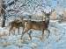 Winter Deer 500 pcs