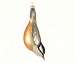 Rose Breasted Nuthatch Ornament