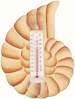 Brown Nautilus Shell Small Window Thermometer