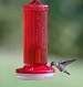 Hummingbird Feeder Starter Kit