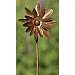 Zinnia Spinner Stake Small