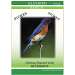 Stokes Bluebird DVD Video