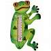 Tree Frog in Profile Small Window Thermometer