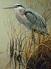 Great Blue Heron 500 piece Puzzle