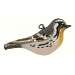 Yellow Throated Warbler Ornament