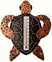 Brown Turtle Small Window Thermometer
