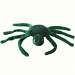 Jumbo Spider