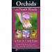 Orchids of the North Woods