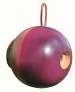Globe Plum Birdhouse