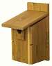 Western Ultimate Bluebird House