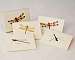 Dragonfly & Damselfly Notecard Assortment 2 each of 4 styles
