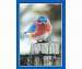 Puzzle, Mad Bluebird 500 piece Puzzle