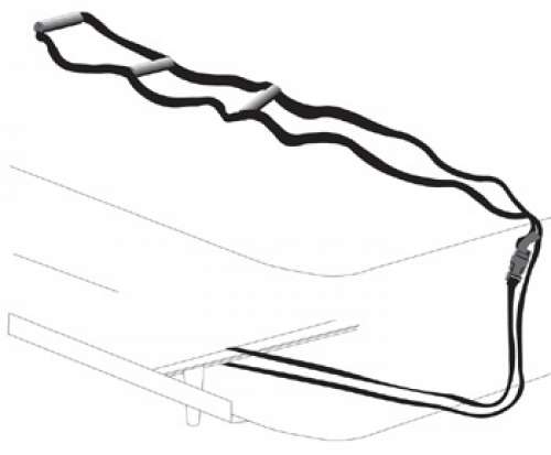Bed Ladder
